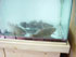 Oh le joli poisson!